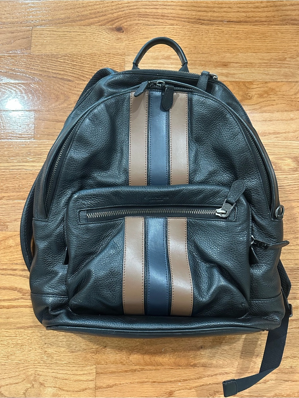 Leather Coach Backpack
